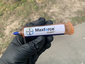 Watch Maxforce Fleet Ant Bait Gel on Amazon Live