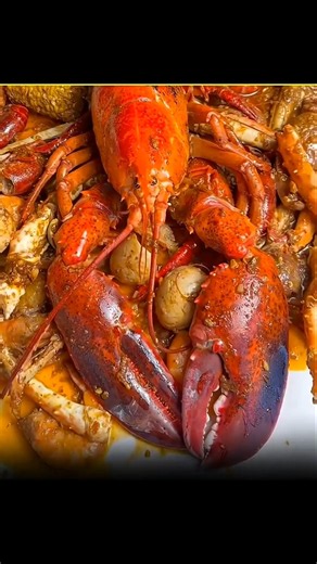 Intresting Facts About Lobster 🦞😱 #abhidox #ytshorts #viralfacts #lobster #recipe #seafood