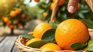 how do you ripen oranges? - Test Food Kitchen