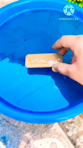 What Can a Plastic Triangle Do? Surprising Experiment!😱