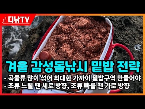Winter Sea Bream Fishing Groundbait Strategy - Mix in plenty of grains to create a groundbait are...