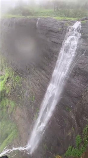 Aadrai jungle trek #travel #mountainswiev #nature #track #viral #view #trending