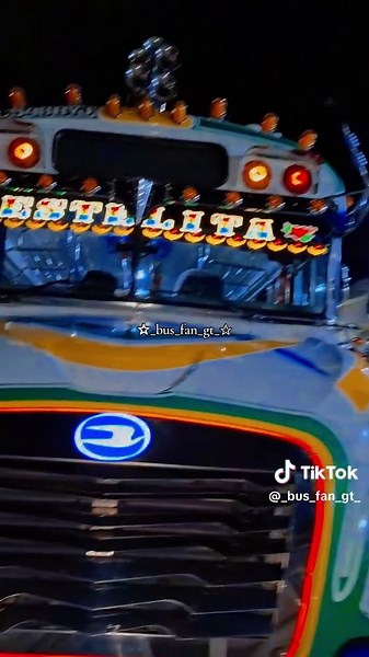 Freightliner Blue Bird Vision Overview