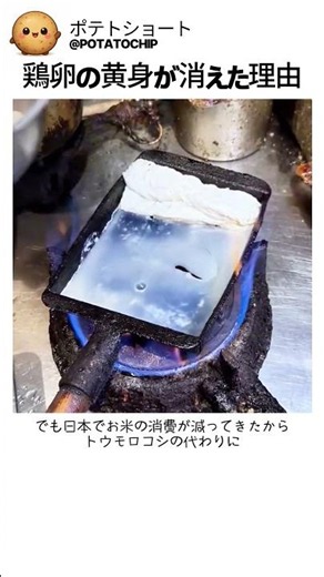 鶏卵の黄身が消えた理由