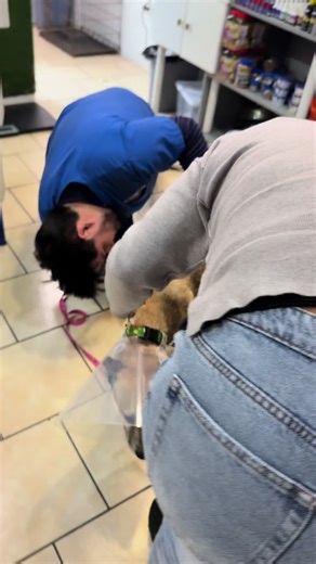 Jenny ya tiene adoptantes 🐾💫 En las próximas semanas se irá a Santa Ana, California, donde una familia la espera con muchísimo amor. 🫶🏻❤️ #tito #parati #mexico #california #educationalcontent