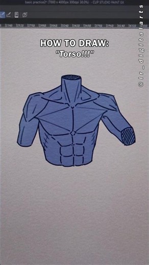 How to draw Torso Anatomy! #digitalart #shorts #drawing #art #digitaldrawing