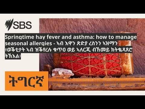 Springtime hay fever and asthma: how to manage seasonal allergies - ኣብ እዋን ጽድያ ረስንን ኣዝማን ፥ወቕቲታት...
