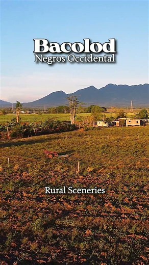 Rural Sceneries Bacolod City Negros Philippines Aerial Footage #AerialFootage #AerialView