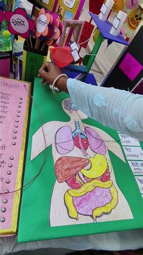 science tlm#human body part