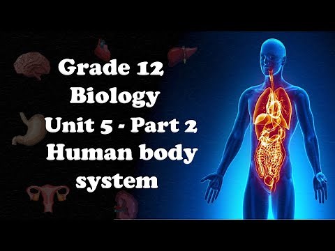 Grade 12 Biology UNIT 5 Part 2 Nervous Impulse and Transmission | Mr. EBISA GELETA
