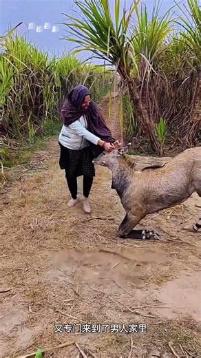 國外男人救助奇怪動物，奇怪動物下跪報恩 #神奇動物在抖音 #動物成精 #人與動物和諧共處 #動物的迷惑行為 #動物成精系列