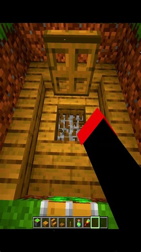 Minecraft X-Ray Glitch