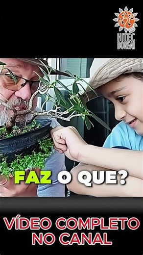 Brilhantina: a vilã silenciosa do bonsai em vaso Air‑Irado #bonsaibrasil