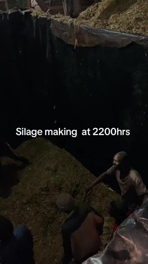 Silage Making Process Explained at 2200hrs