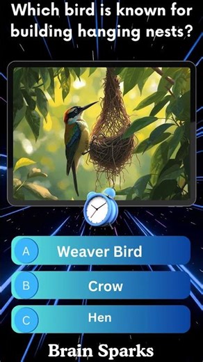 Test your Brain Knowledge #quiz #shorts #trivia #brainteaser #brainteaser