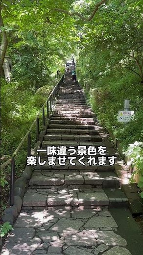 おおたまちさんぽ vol.3＃まちさん「旬のお散歩スポット 田園調布 せせらぎ公園」#大田区 #田園調布 #せせらぎ公園 #おでかけ #せせらぎ館
