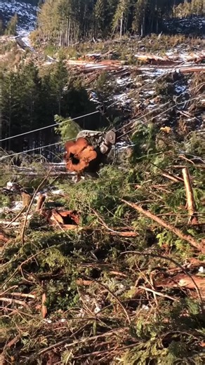 7280 Yarding BIG Cedar up the hill! 💪🏻 #power #yarder #westcoast | Benjamin Matdermongel