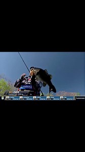 Everyone drop a 💸 for dolla Bill and make it rain in the comments! Bill Lowen is going to bring a BAG for today’s weigh-in. Who’s watching #BassLIVE on Bassmaster.com? #bassmaster #bass #basselite #bassfishing | Bassmaster
