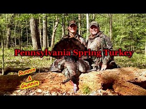 Pennsylvania public land spring turkey hunt