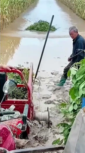 Flooded fields, farmers use "local methods" to clear drainage ditches!