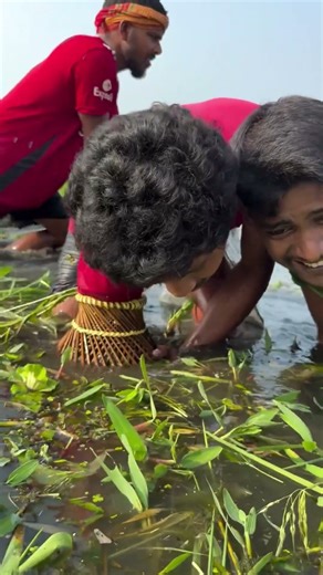 Catching Fish From Deep Village Stream Using Simple Trap #Shorts