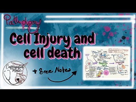 CELL INJURY (pathology) - reversible injury (Hydropic change, fatty change...) & irreversible injury