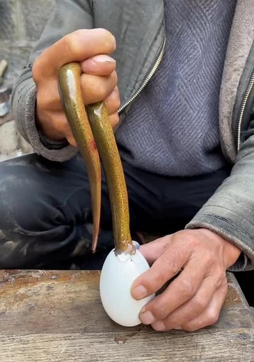 Outdoor Cooking Tutorial with Eel Preparation