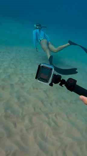 You Won’t Believe the Way This Creature Moves – Mesmerizing Behavior Caught on Camera