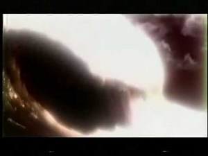 SHELL 2003 F1 CM Ferrari(2)