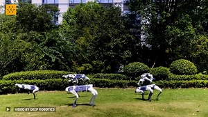 Robot Dog Jump. Video Credit: Deep Robotics ————————————— Stay ahead of the curve in engineering! Follow the topics that inspire you on Wevolver and get a custom weekly digest packed with cutting-edge content!” Follow now: https://wevlv.co/follow-wevolver-fb #robotics #robots #technology | Wevolver.com