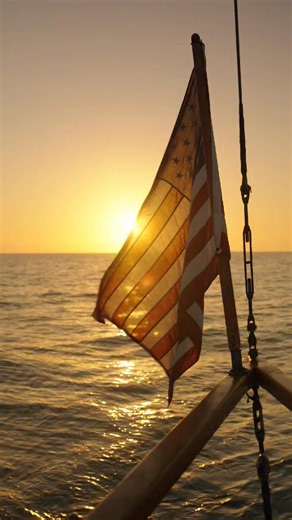 7.4K views · 136 reactions | With Veterans Day approaching and the...