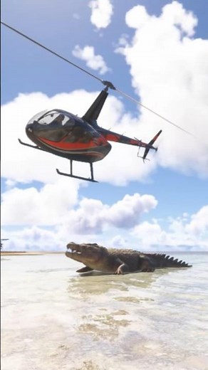 Reason #4 Why I like Flight Sim