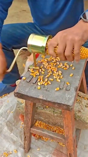 Removing Corn Kernels Quickly and Efficiently With a Manual Hand Crank Corn Sheller Tool