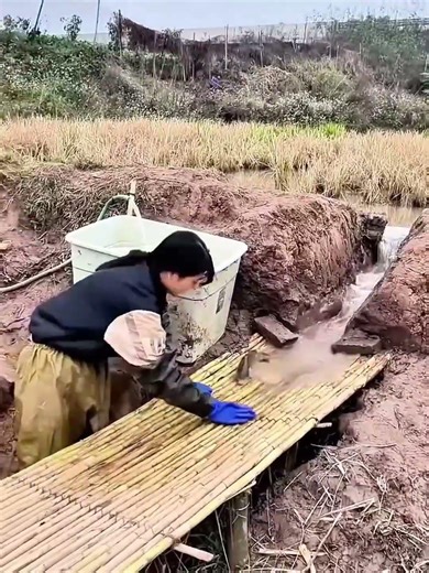 Fish catching process using bamboo slide traps