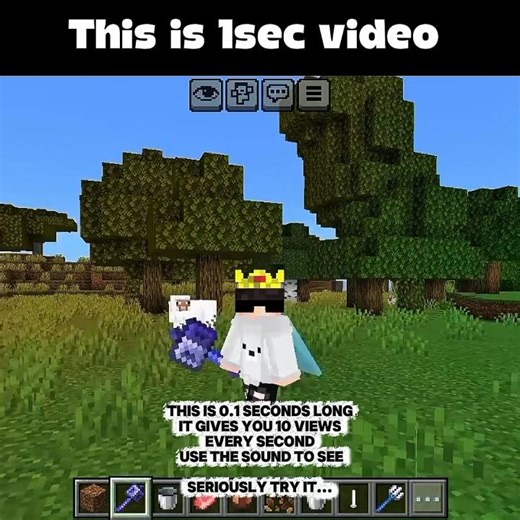 trust me guys try it #minecraft