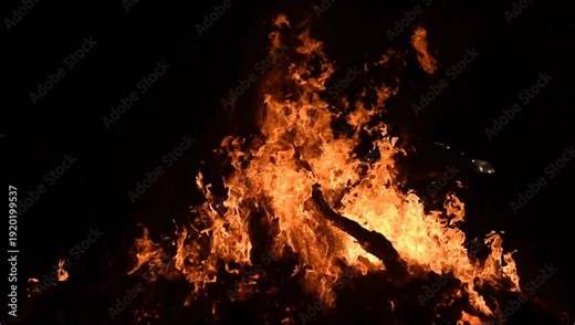 Fire flames on black background, Blaze fire flame texture background, Beautifully, the fire is burning, Fire flames with wood and cow dung bonfire