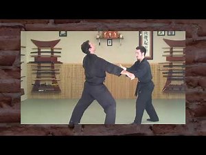 SAN SHIN NO KATA: Beyond Basic Forms (Bujinkan/Ninjutsu)