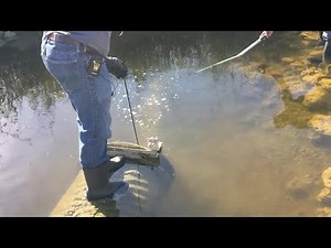 VIDEO: Hunting pythons in Florida Everglades