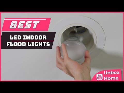 Top 5 Best Led Indoor Flood Lights