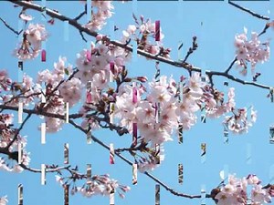 椎名恵 がんばれ！