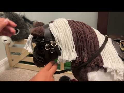 Show Jumping Competition With Dazzle