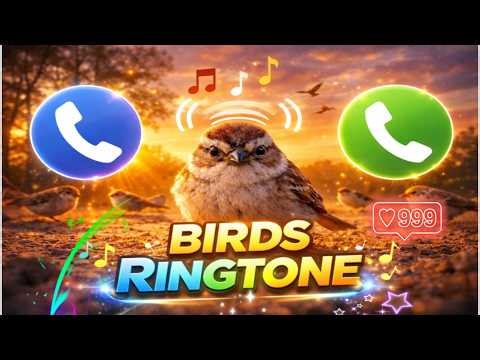 Beautiful Birds Singing Ringtone 🐦 Relaxing Nature Bird Chirping Sound | Peaceful Tone