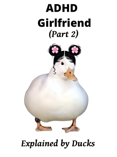 ADHD Girlfriend Explained by Ducks (Part 2)