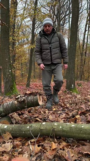 7.1K reactions · 38 shares | Survival Skills Swedish Fire with a Hand Saw. #survival #camping #skills #fire #outdoors #bushcraft #ideas #lifehacks #swedishfire | Sergio Outdoors | Facebook