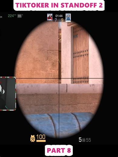 Competing with TikTok Stars in Standoff 2