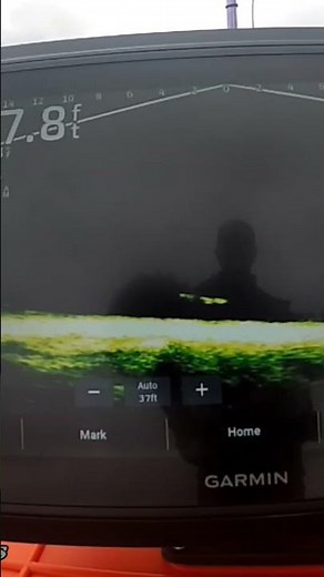 Vertically Jigging For Muskies Saint John River With Garmin LiveScope #fishing #fish #fishingvideo