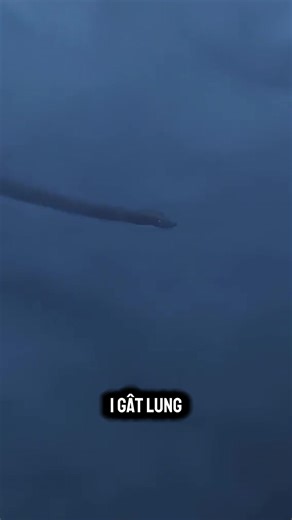 Situații Explicate pe TikTok