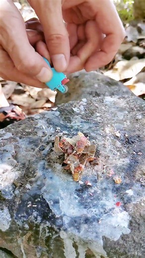 Start Fire With Broken Lighter #camping #survival #bushcraft #outdoors #forest #lifehacks