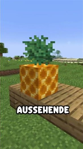 3 Minecraft Bau Hacks! #minecraft #shorts