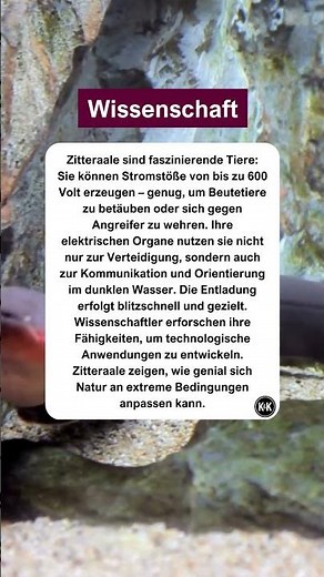 Strom aus dem Körper. #wissenschaft